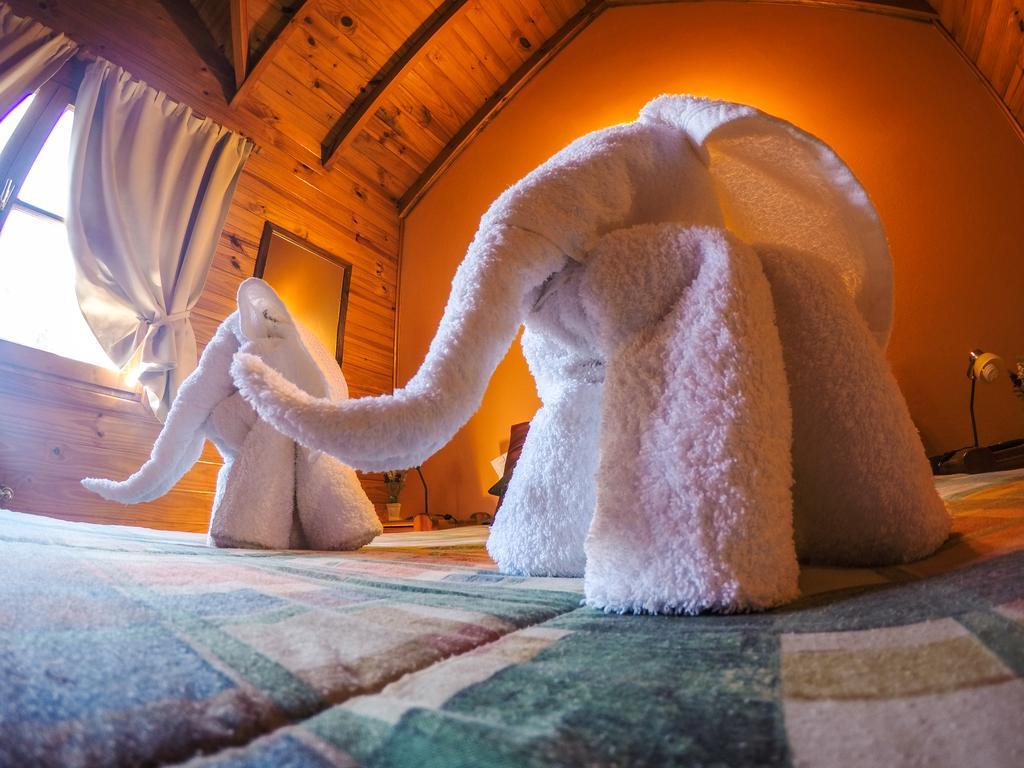 Cabanas De La Patagonia サンマルティン エクステリア 写真